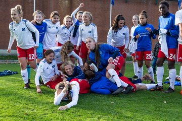 Bild 163 - B-Juniorinnen Hamburger SV - FC Neubrandenburg 04 : Ergebnis: 3:1